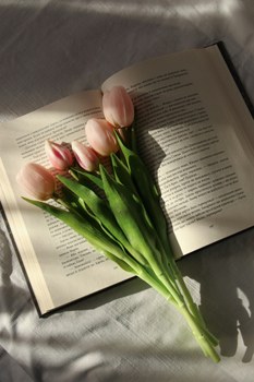 Nouvelles acquisitions de la bibliothèque - Avril 2026
