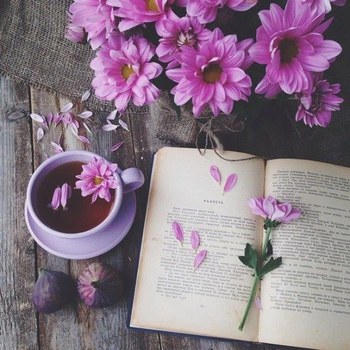 Nouvelles acquisitions de la bibliothèque - Septembre 2026